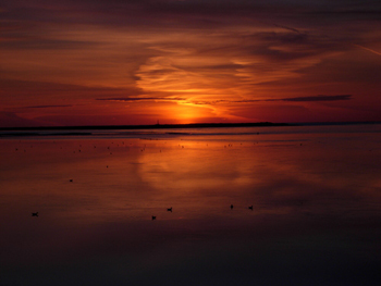 Sunrise at North Port